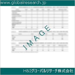 グローバルリサーチ調査資料のイメージ